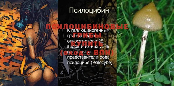 молекула духа Богородицк