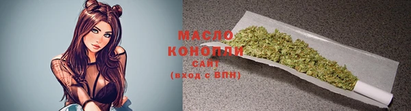 молекула духа Богородицк