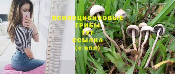 молекула духа Богородицк