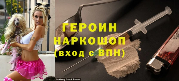 молекула духа Богородицк