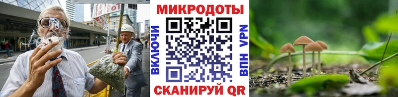 Псилоцибиновые грибы Magic Shrooms  Можга 
