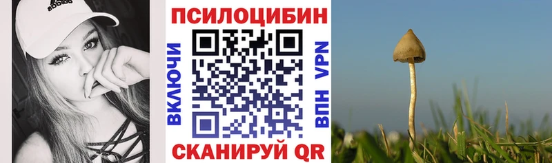 Галлюциногенные грибы Psilocybine cubensis Можга